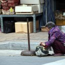 금산약초 이미지