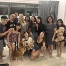 자몽호스텔 이미지