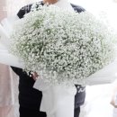 플라워쥴리 | 인천꽃배달 피비앤쥴리 flower 영업시간 문의