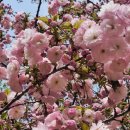 슬립케어 | 강남 더 에이징 브레인 센터 딥슬립 브레인케어 체험 후기