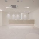 세종스노우의원 Daum카페