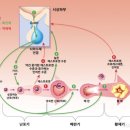 아이오라여성의원 이미지