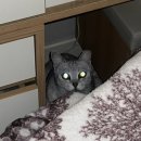 준성베이커리 이미지