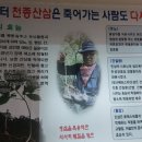 탄도 소재 약초싸부 임동균님 산삼 식당 이미지