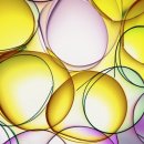 홍익대학교 정보대학원 이미지