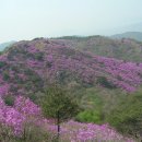 뽀삐뽀삐 이미지