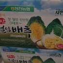 (12/13) 배추김치 담그기 | 김장김치담그기 절임배추 40kg 양념 김장김치속만들기