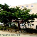 구성초등학교 이미지