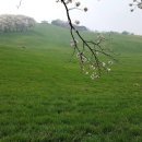 운정한우농장 이미지