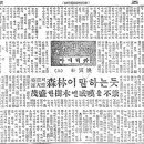 목마와숙녀 - 동해시 대동로 118-1 | 목마와숙녀