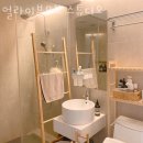 얼라이브 스튜디오 이미지