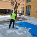 부평초등학교(병설) | 장애인주차장도색 남양주 진접읍 부평초등학교 주차선도색 시공 후기 주차장도색업체 내일안전