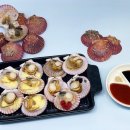 꽃가리비 이미지