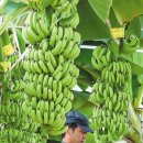 김영근 농장 이미지