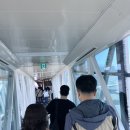 세영약국 | 제주에서 두 번째 신혼여행, 근데 이제 자녀를 곁들인 1일차