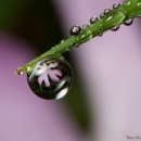 자강검도관 이미지