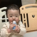 태리 이미지