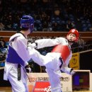 올림픽태권도체육관 이미지