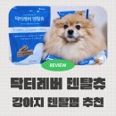 스마트덴탈 | 강아지 치석제거 덴탈껌 추천 수의사가 만든 닥터레버 덴탈츄 급여 후기