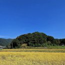 황금노래 - 정읍시 수성2로 35 | 황금노래