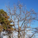 강변길 북천 이미지