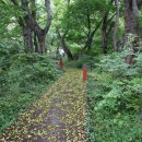 남해-269 이미지