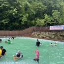 성수산자연휴양림 | 임실 성수산 세모집 후기