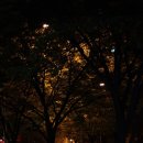 해인식당 이미지