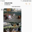 상룡농장 이미지