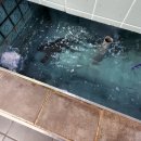 물바위송어장 이미지