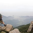 남해-남해-남해-비-6 이미지