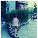 흥국생명빌딩 이미지