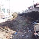 대구선아양공원2 이미지