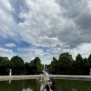 산뜻하개 이미지