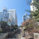 서울상신초등학교 | [가볼만한 곳] 은평구 봉산 무장애 숲길 등산 후기