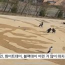 수원칠보고등학교 이미지