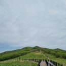 곰배령 이미지