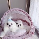 편안한휴식 이미지
