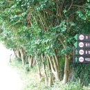 선유도초 방축도분교 이미지