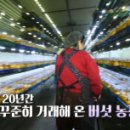 정옥농장 티스토리