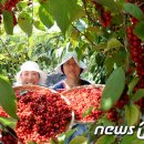 거창-가북-1 이미지