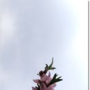 영남약국 이미지