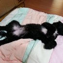 개편한집 이미지