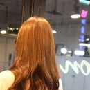 더블유스타살롱 - 강남구 봉은사로29길 21 | 더블유스타살롱