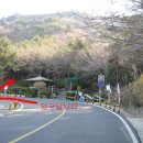 숲속나들이길 이미지