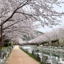 가락생태공원(2) 이미지