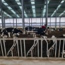 관정목장 이미지