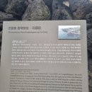 곤을동환해장성 이미지