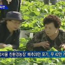 서울채소