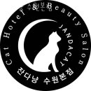 잔다냥 이미지